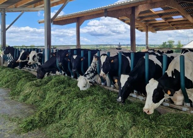 Visite de la ferme Nouvel Orient